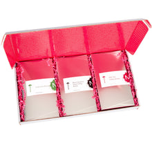 Load image into Gallery viewer, Open rectangle gift box lid up with view of  3 - 8oz silver boxes of brittle with pink crinkle paper cushion between the boxes.