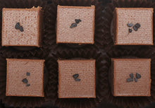 Load image into Gallery viewer, View from above of the opened “Salted Caramel Milk Chocolate” with six cube-shaped chocolate truffles arranged in two rows, 3 truffles per row, each in paper candy cup with a few black sea salt flakes in the center of each truffle.