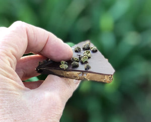 Close up of a hand holding a piece of the toffee brittle.